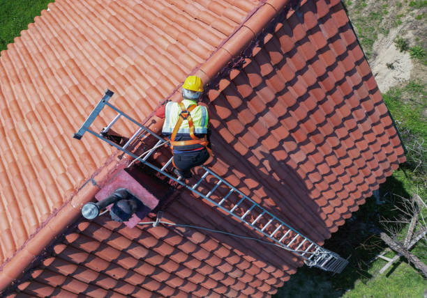 Best Roof Insulation Installation  in Massanutten, VA