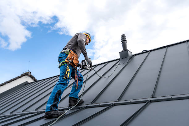 Best Roof Maintenance and Cleaning  in Massanutten, VA