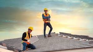 Best Roof Moss and Algae Removal  in Massanutten, VA